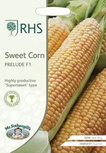 RHS Sweet Corn Prelude F1 - image 1