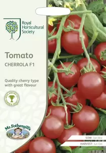 RHS Tomato Cherrola F1 - image 1