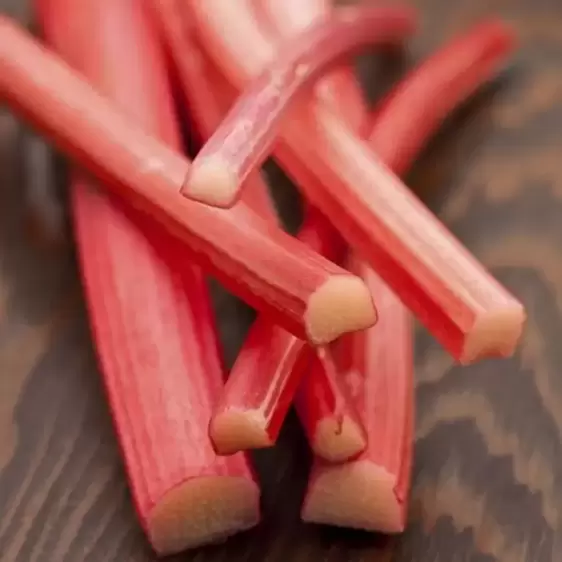 Rhubarb 'Champagne'