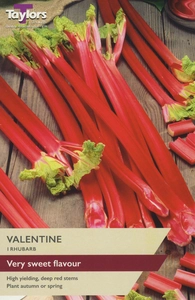 Rhubarb Valentine