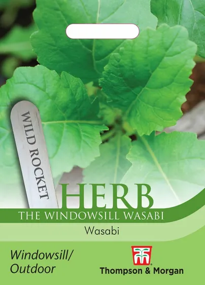 Rocket Wild Wasabi - image 1