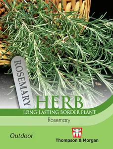 Rosemary - image 1