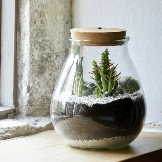 Rounded LED Terrarium Jar Ø24cm - image 2