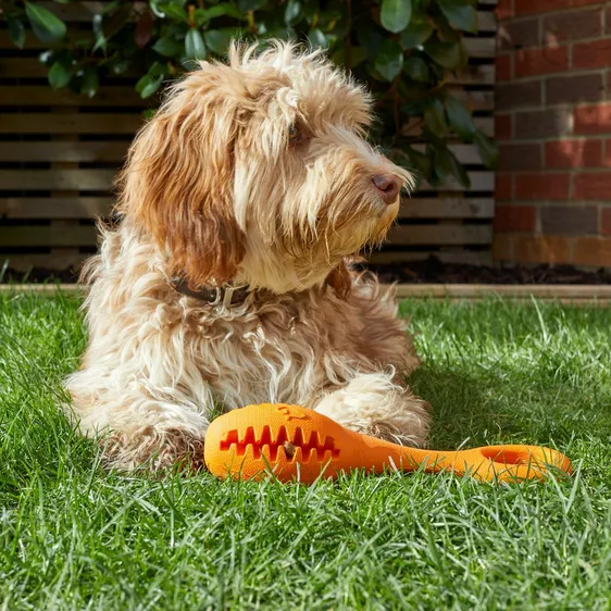 Rubber Treat Dispensing Fetch Toy Cowell s Garden Centre Woolsington