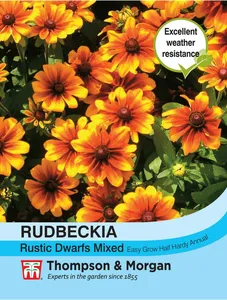 Rudbeckia Rustic Dwarfs Mixed - image 1