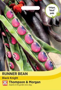 Runner Bean Black Knight - image 1