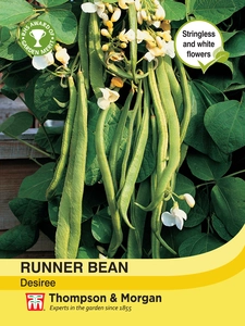 Runner Bean Desiree - image 1