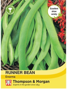 Runner Bean Enorma - image 1