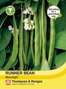 Runner Bean Moonlight - image 1