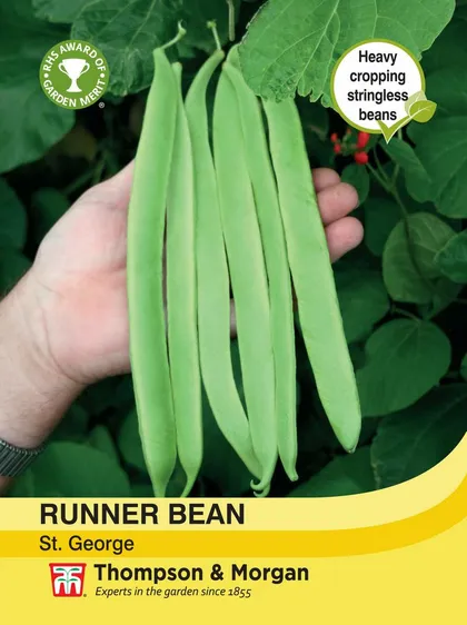 Runner Bean St. George - image 1