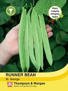 Runner Bean St. George - image 1