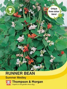 Runner Bean Summer Medley - image 1