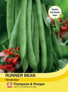 Runner Bean Tenderstar - image 1