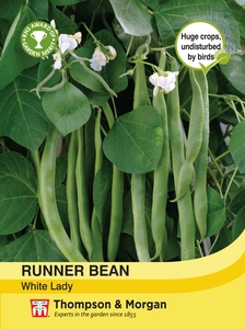 Runner Bean White Lady - image 1