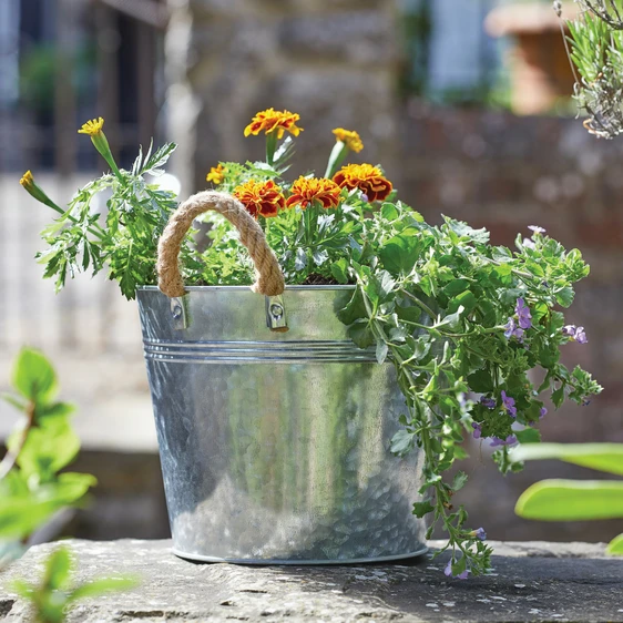 Rope Handled Bucket Planter