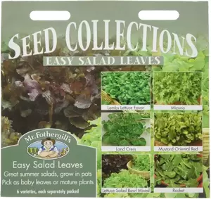 Salad Leaves - Easy Collection - image 1