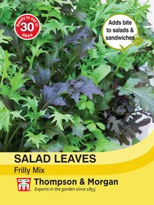 Salad Leaves - Frilly Mix - image 1