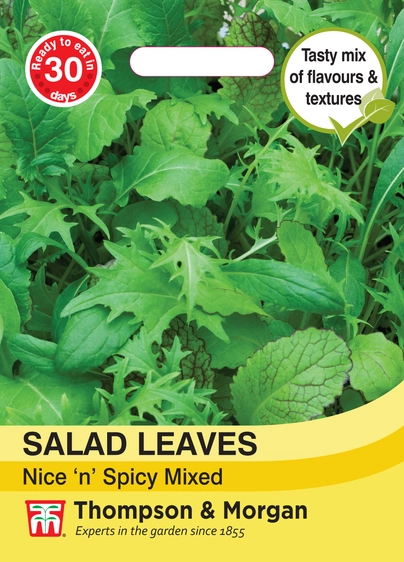 Salad Leaves - Nice n Spicy Mixed - image 1