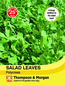 Salad Leaves - Polycress - image 1