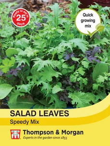 Salad Leaves - Speedy Mix - image 1