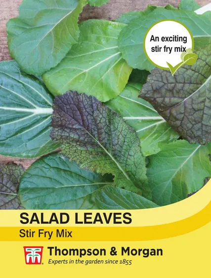 Salad Leaves - Stir Fry Mix - image 1