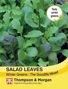 Salad Leaves - Winter Greens The Good Life Mixed - image 1