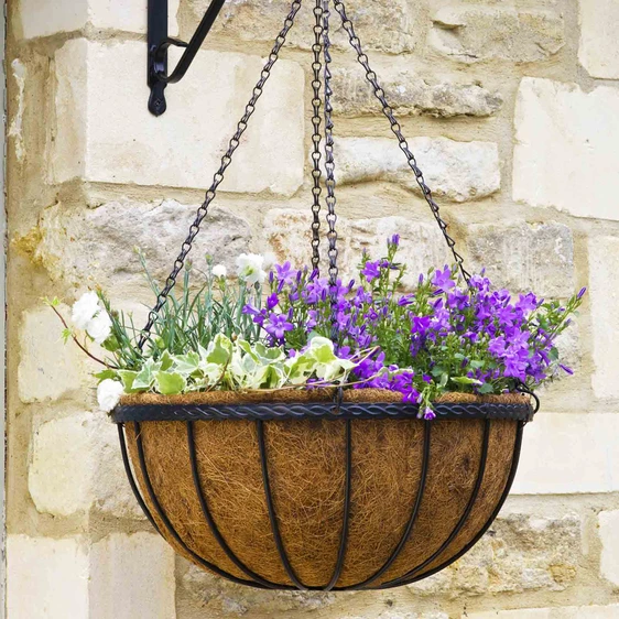 Saxon Hanging Basket 30cm