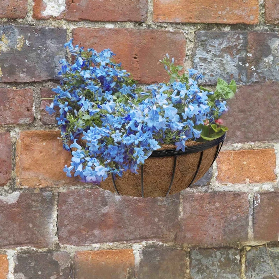 Saxon Wall Manger Basket