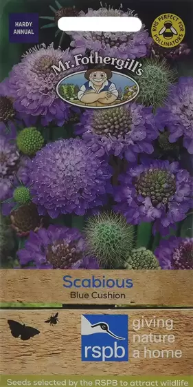 Scabious Blue Cushion - image 1