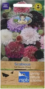 Scabious Tall Double Mixed - image 1