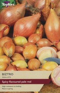 Shallot Biztro