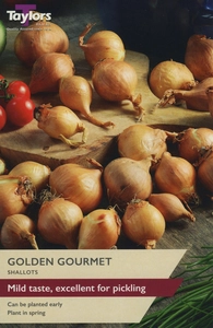 Shallot Golden Gourmet