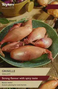 Shallot Griselle