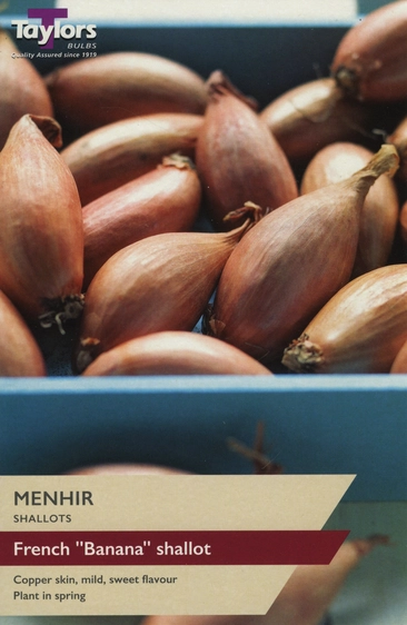 Shallot Menhir