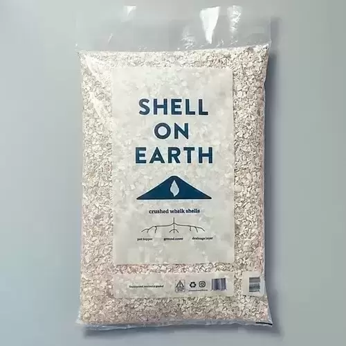 Shell on Earth - Large - image 1