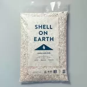 Shell on Earth - Large - image 1