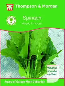 Spinach Mikado F1 - image 1