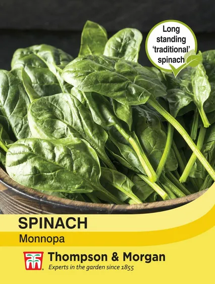 Spinach Monnopa - image 1