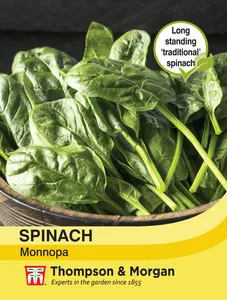 Spinach Monnopa - image 1