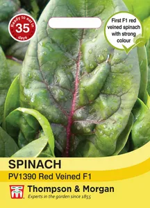 Spinach PV1390 Red Veined F1 - image 1