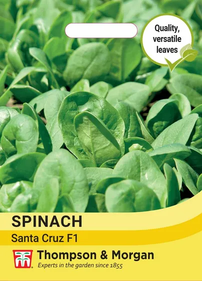 Spinach Santa Cruz F1 - image 1