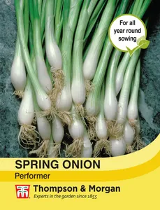 Spring Onion Performer - image 1