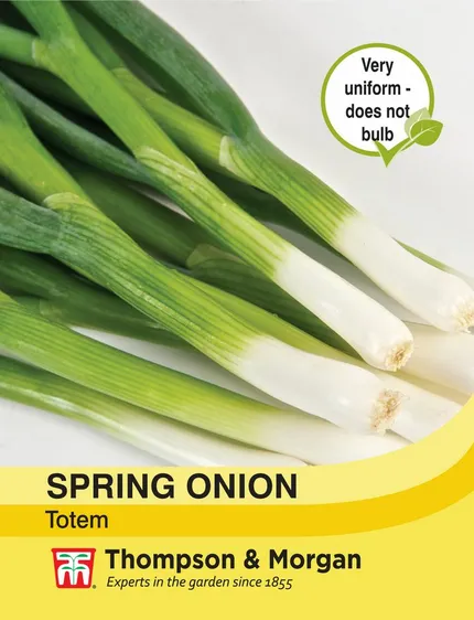 Spring Onion Totem - image 1