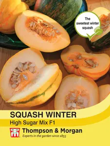 Squash (Winter) High Sugar Mixed F1 - image 1