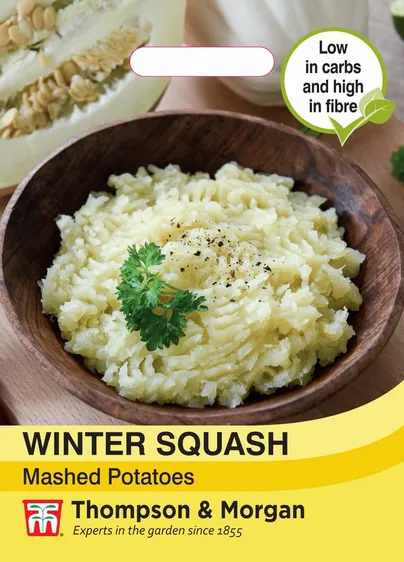 Squash (Winter) Mashed Potato - image 1
