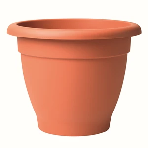 Stewart Essentials Terracotta Planter - 33cm