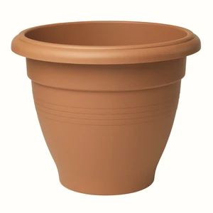 Stewart Palladian Terracotta Planter - 30cm