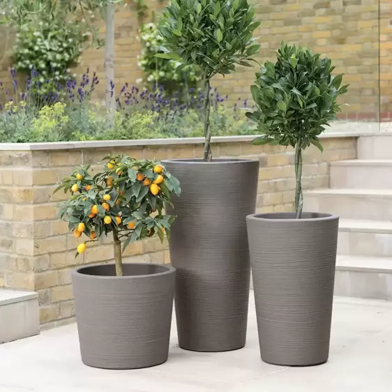 Stewart Varese Low Planter - Dark Brown - image 3