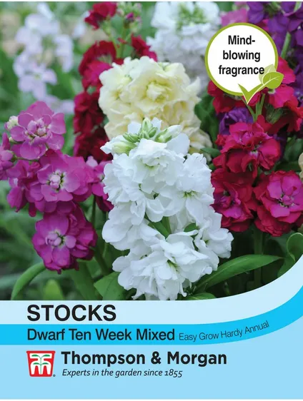 Stocks Dwarf Ten Week Mixed - image 1