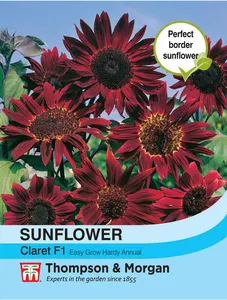 Sunflower Claret - image 1